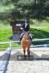 ref. photo 3550048