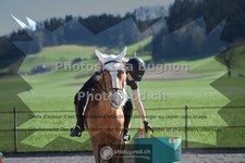 ref. photo 3550052