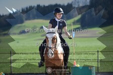 ref. photo 3550053
