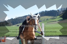 ref. photo 3550054