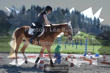 ref. photo 3550055