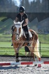 ref. photo 3550057