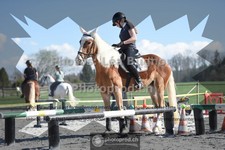 ref. photo 3550058