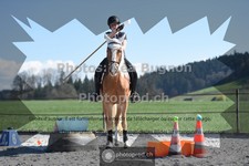 ref. photo 3550060