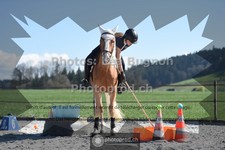 ref. photo 3550061