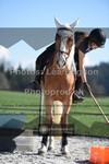 ref. photo 3550062