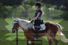 ref. photo 3550070