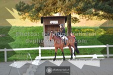 ref. photo 3550072