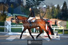 ref. photo 3550073
