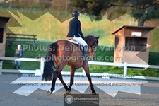 ref. photo 3550075