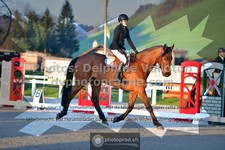 ref. photo 3550078