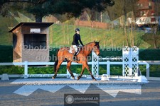 ref. photo 3550079