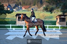 ref. photo 3550080