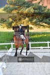 ref. photo 3550086