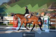 ref. photo 3550087
