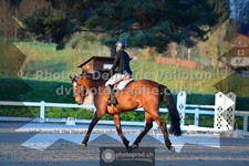 ref. photo 3550088