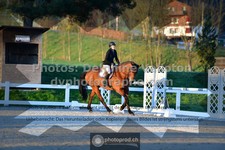 ref. photo 3550089
