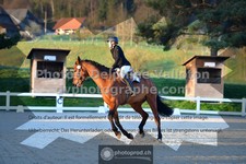 ref. photo 3550096