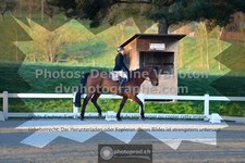 ref. photo 3550097