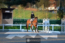 ref. photo 3550098