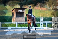 ref. photo 3550099