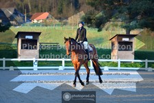 ref. photo 3550100