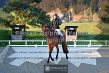 ref. photo 3550101