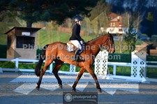 ref. photo 3550104