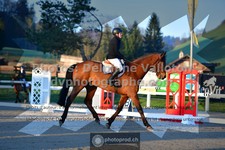 ref. photo 3550105