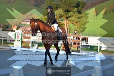 ref. photo 3550106
