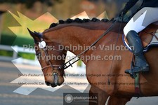 ref. photo 3550107