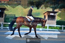 ref. photo 3550108