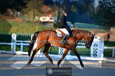 ref. photo 3550109