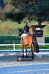 ref. photo 3550112