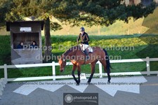 ref. photo 3550115