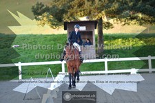 ref. photo 3550117