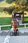 ref. photo 3550119