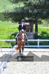 ref. photo 3550122