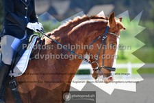 ref. photo 3550124