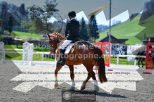 ref. photo 3550125
