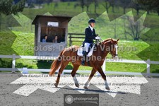ref. photo 3550130