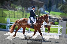 ref. photo 3550131