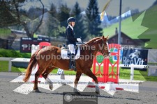 ref. photo 3550132