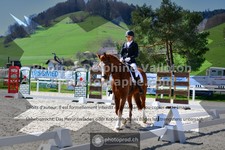 ref. photo 3550133