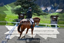 ref. photo 3550134