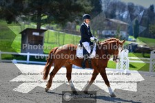 ref. photo 3550136