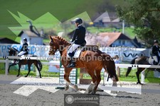 ref. photo 3550140