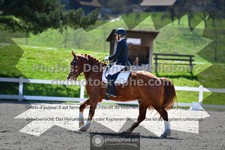 ref. photo 3550142