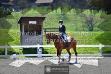 ref. photo 3550144