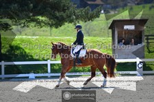 ref. photo 3550145